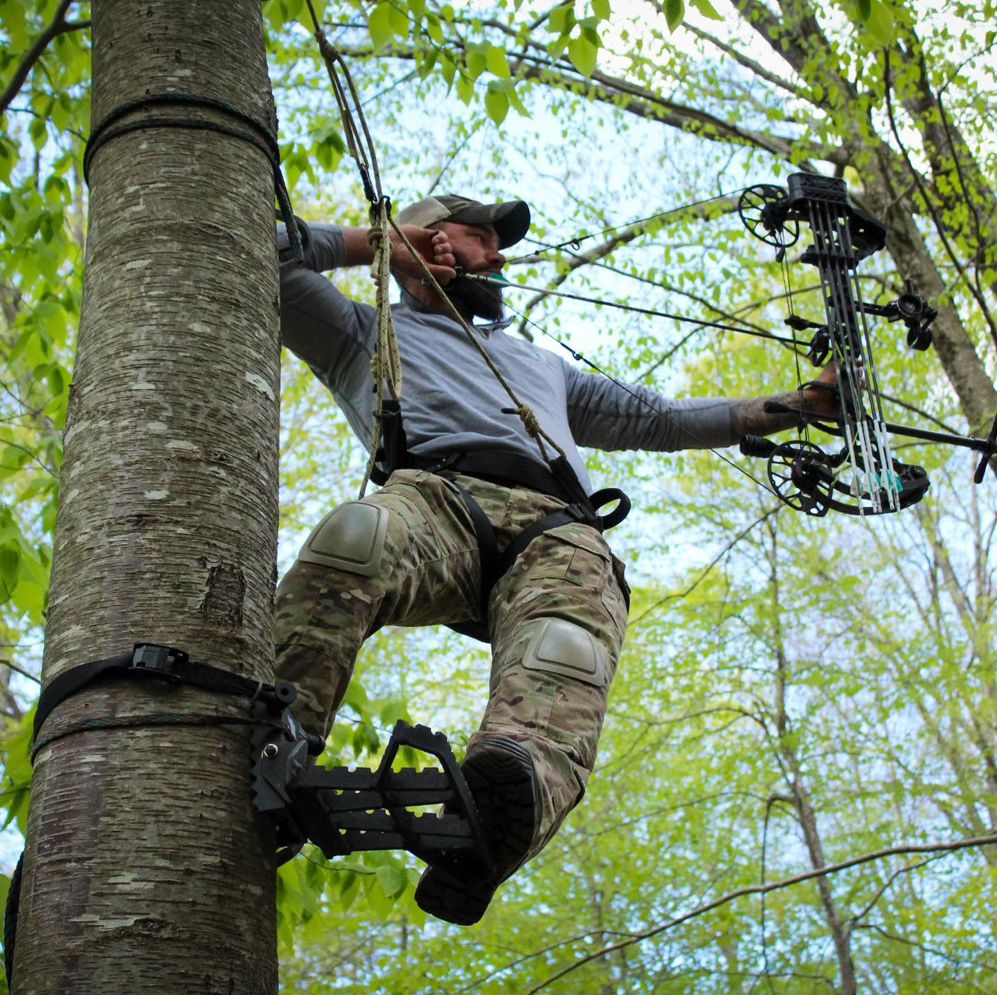 tree climbing harness for hunting