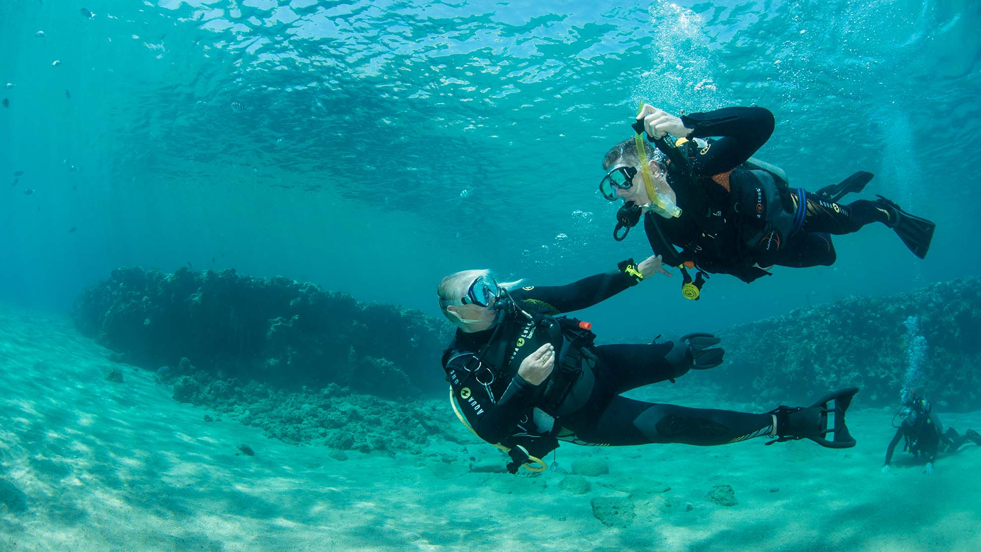 ELITE DIVING - Dive with the best award winning Red Sea PADI 5 STAR dive centre in Sharm El Sheikh. Elite Diving with Divers United is a British owned and managed dive