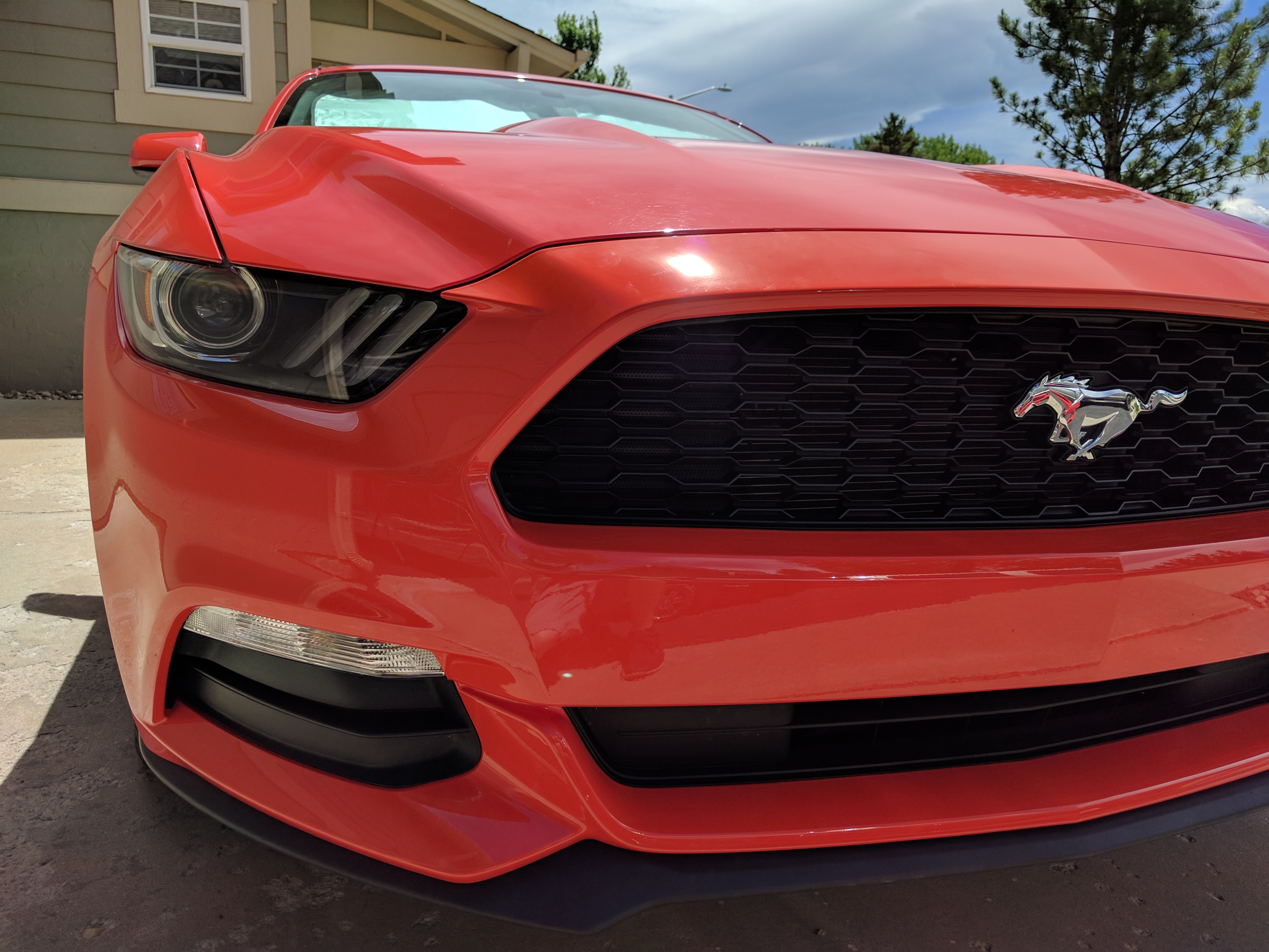 Painted OEM Parts Home