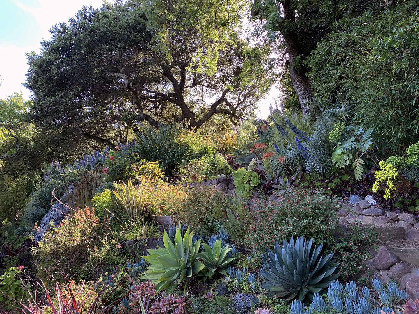 Dig Your Garden Landscape Design Home, Landscape Design Marin County
